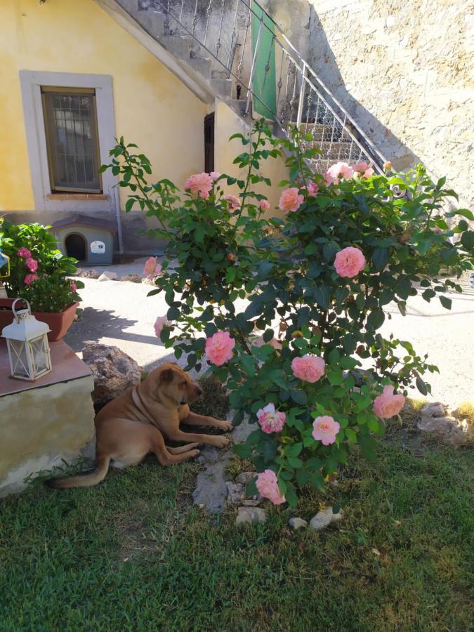 Il Giardino Dei Semplici B&B Caulonia Bagian luar foto